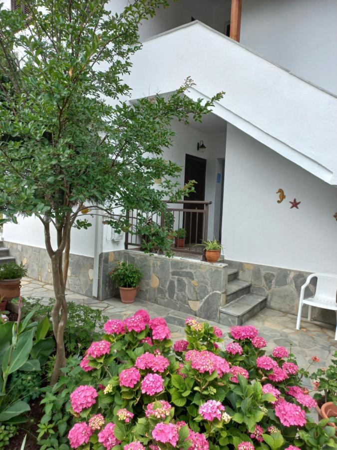 Pension Marina كوينيرا المظهر الخارجي الصورة